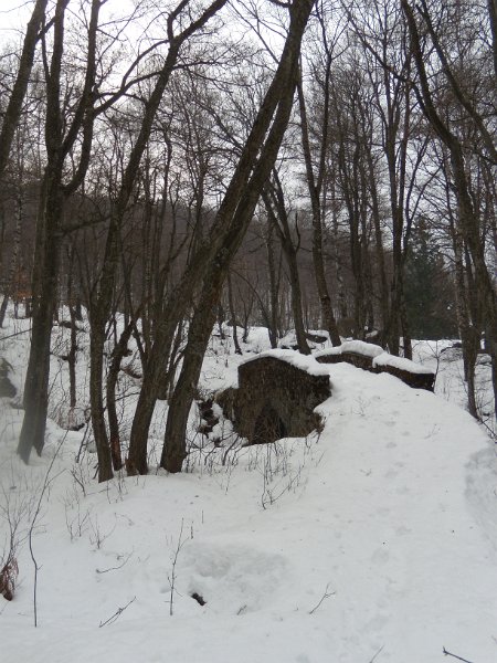 fine febbraio 2011 054.jpg